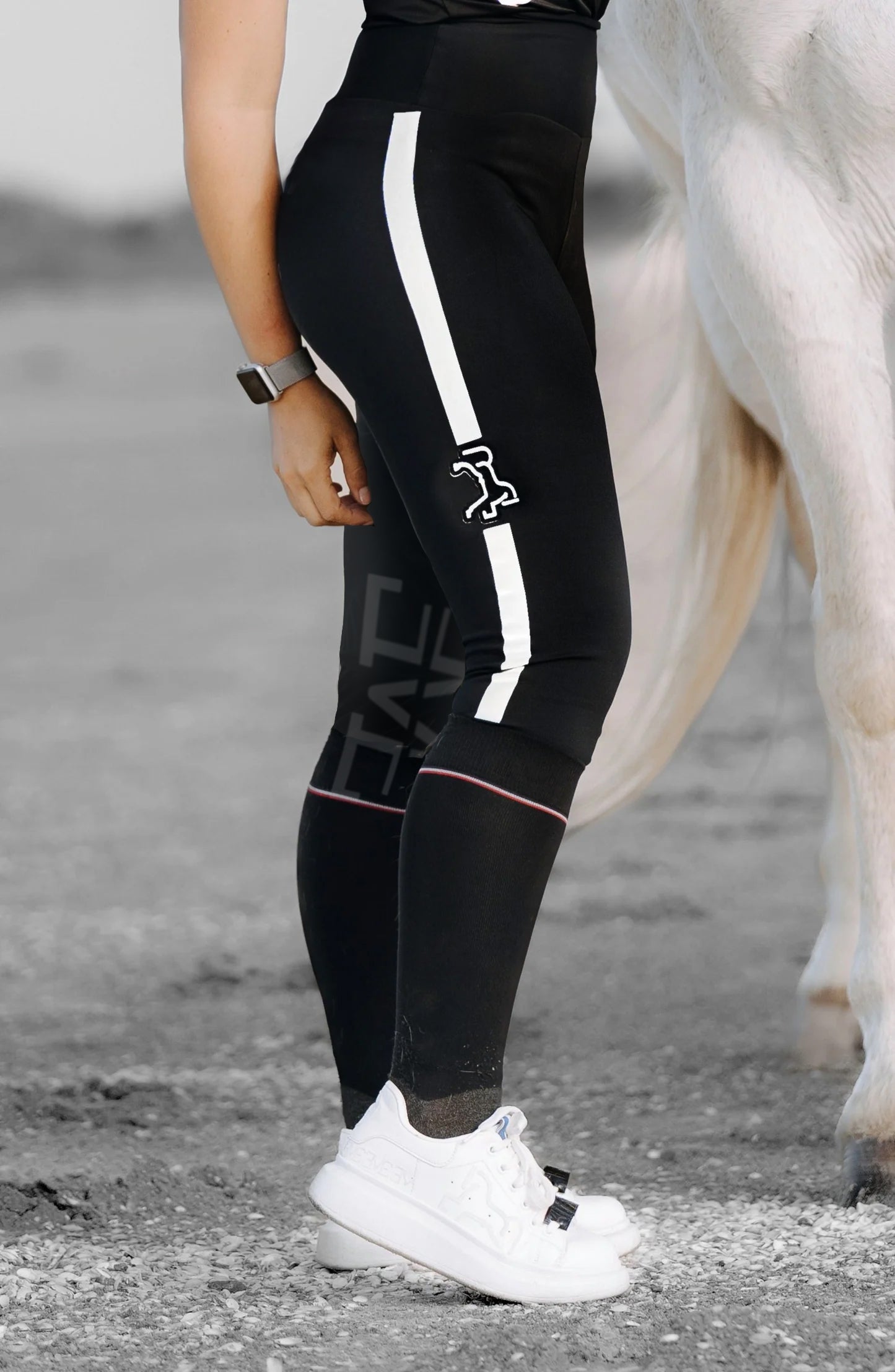 Breech ICONO Plata