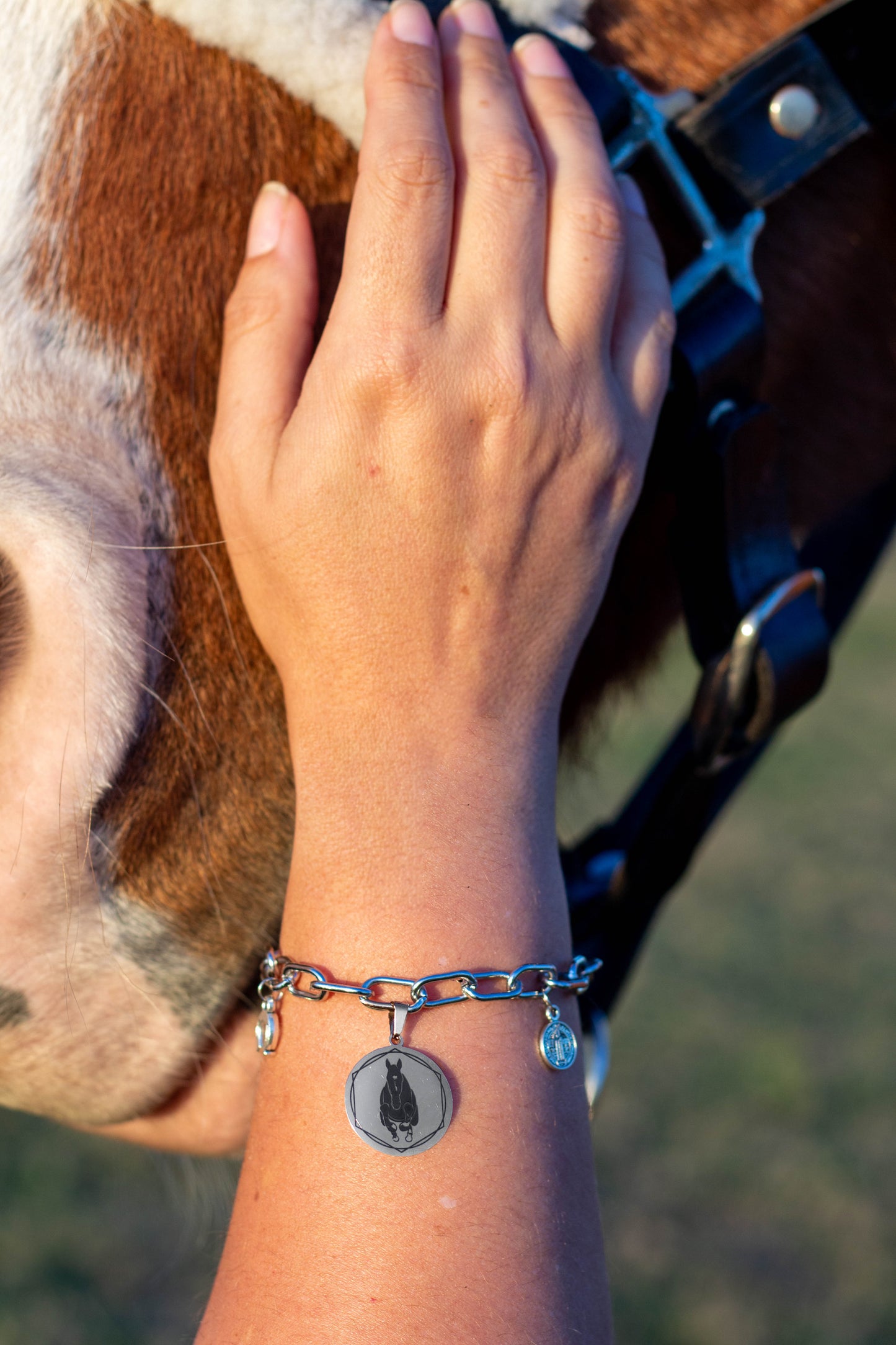 Conjunto Collar - Pulsera - Caravana ACERO 318