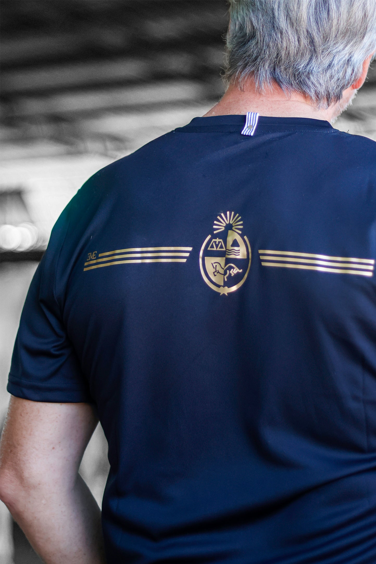 Remera Héroe Oriental
